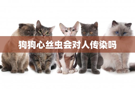 狗狗心絲蟲會對人傳染嗎