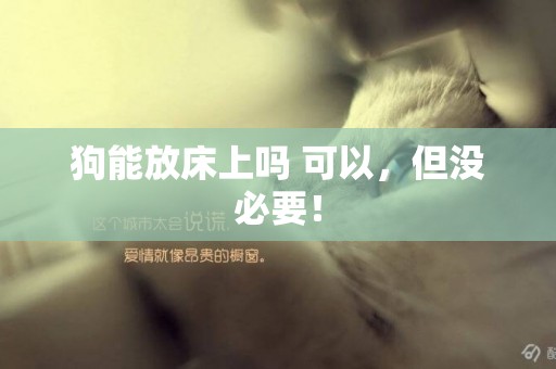 狗能放床上嗎 可以，但沒必要！