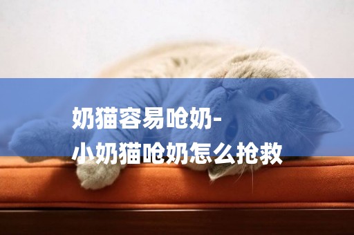 奶貓容易嗆奶-
小奶貓嗆奶怎么搶救