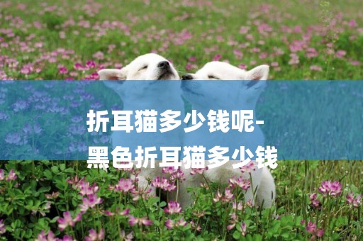 折耳貓多少錢呢-
黑色折耳貓多少錢