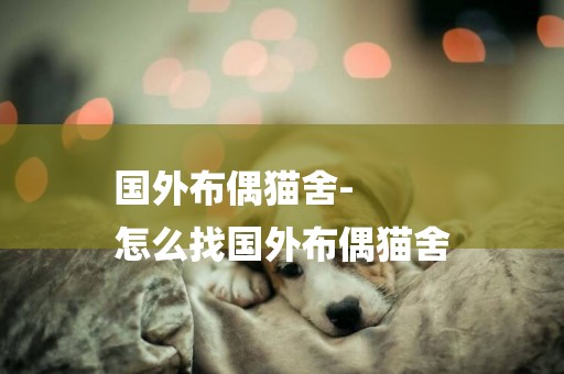 國外布偶貓舍-
怎么找國外布偶貓舍
