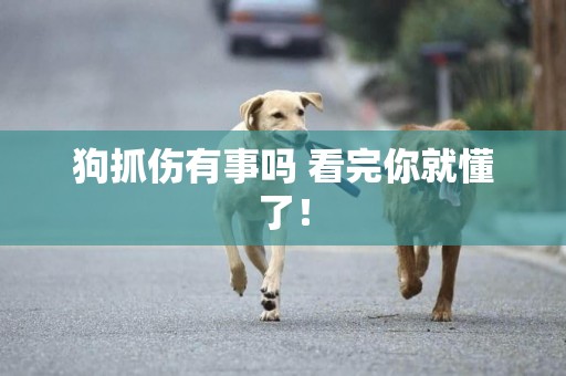 狗抓傷有事嗎 看完你就懂了！