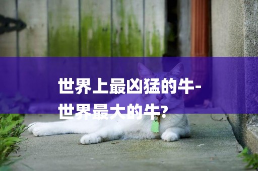 世界上最兇猛的牛-
世界最大的牛?