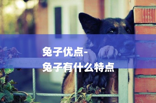 兔子優點-
兔子有什么特點