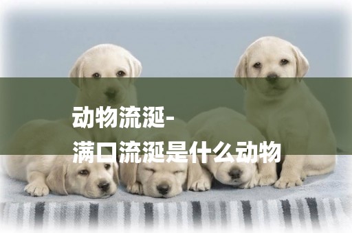 動物流涎-
滿口流涎是什么動物