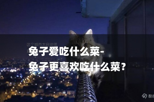 兔子愛吃什么菜-
兔子更喜歡吃什么菜？