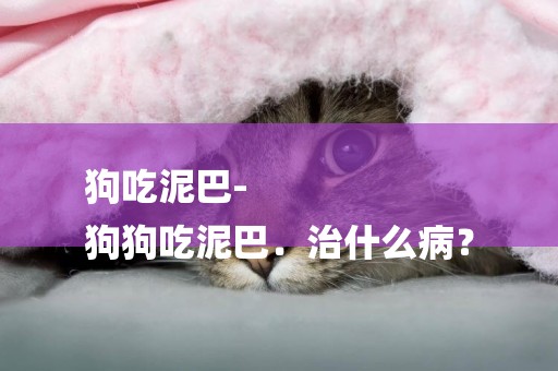 狗吃泥巴-
狗狗吃泥巴．治什么病？