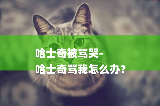 哈士奇被罵哭-
哈士奇罵我怎么辦？