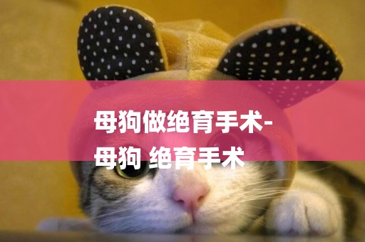 母狗做絕育手術-
母狗 絕育手術