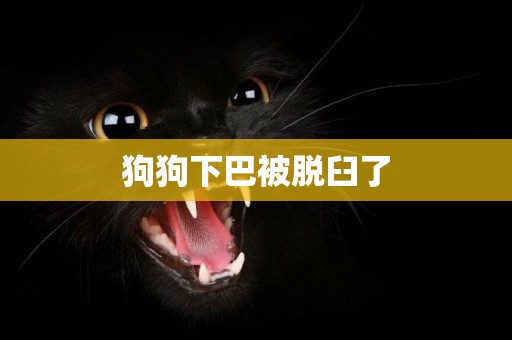 狗狗下巴被脫臼了