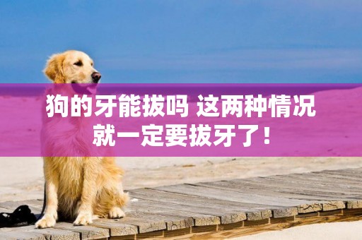 狗的牙能拔嗎 這兩種情況就一定要拔牙了！