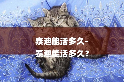 泰迪能活多久-
泰迪能活多久？
