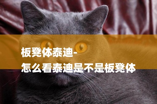 板凳體泰迪-
怎么看泰迪是不是板凳體