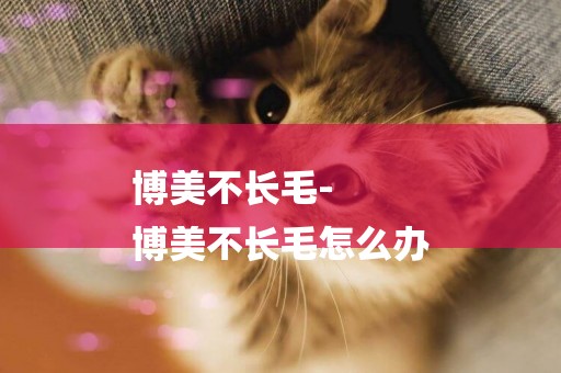 博美不長毛-
博美不長毛怎么辦