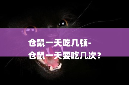 倉鼠一天吃幾頓-
倉鼠一天要吃幾次？