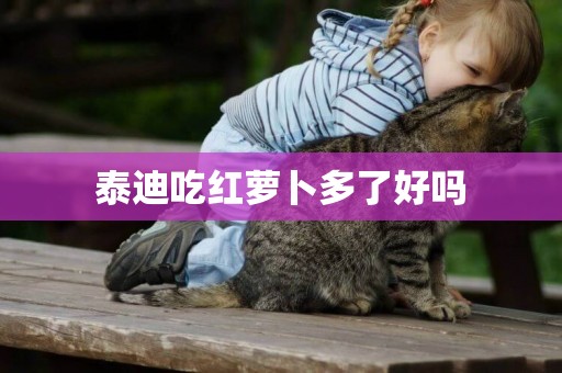 泰迪吃紅蘿卜多了好嗎