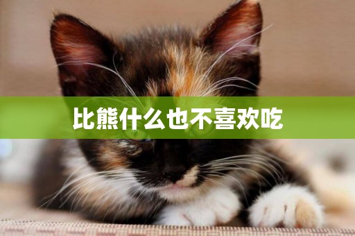 比熊什么也不喜歡吃