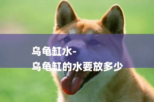 烏龜缸水-
烏龜缸的水要放多少