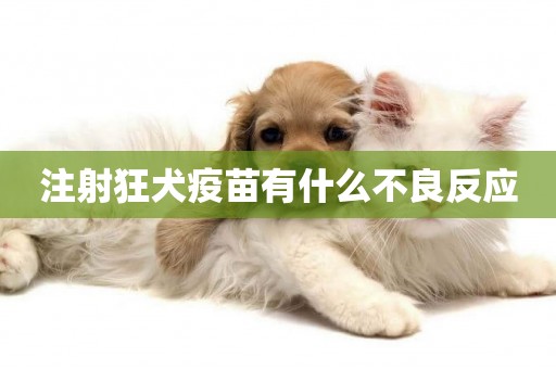 注射狂犬疫苗有什么不良反應