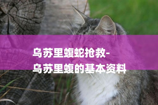 烏蘇里蝮蛇搶救-
烏蘇里蝮的基本資料