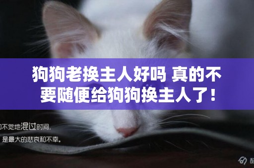 狗狗老換主人好嗎 真的不要隨便給狗狗換主人了！