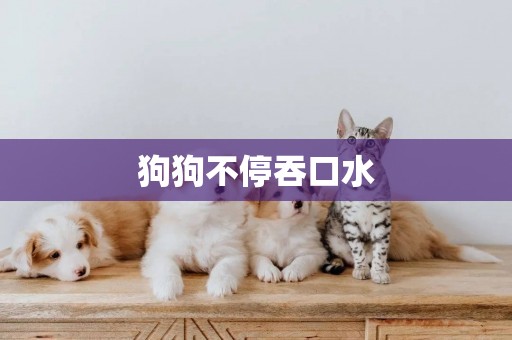狗狗不停吞口水