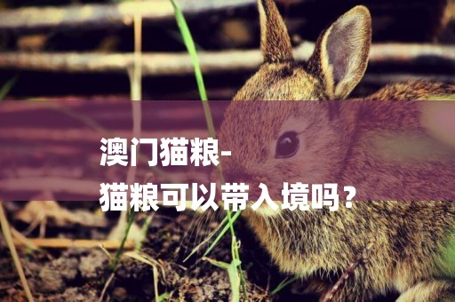 澳門貓糧-
貓糧可以帶入境嗎？