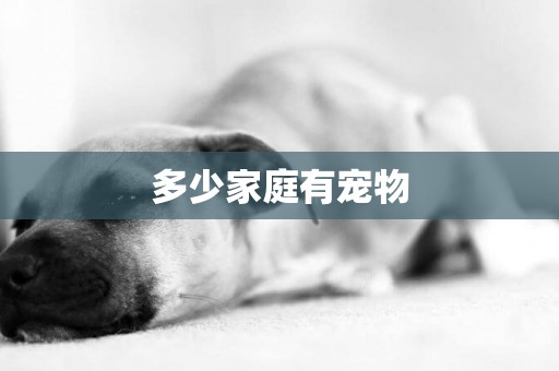 多少家庭有寵物