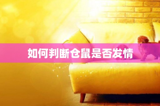 如何判斷倉鼠是否發情