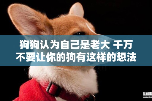 狗狗認為自己是老大 千萬不要讓你的狗有這樣的想法！