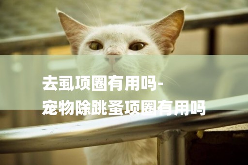 去虱項圈有用嗎-
寵物除跳蚤項圈有用嗎