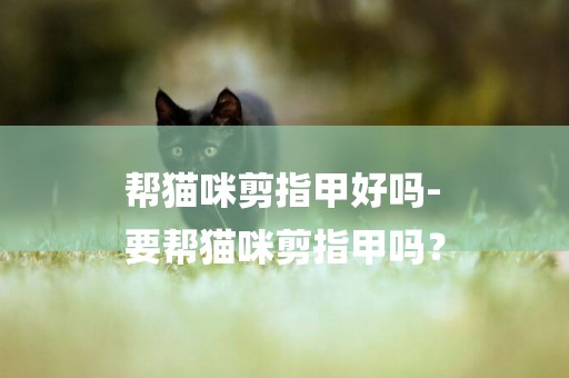 幫貓咪剪指甲好嗎-
要幫貓咪剪指甲嗎？