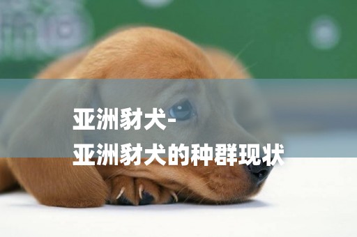 亞洲豺犬-
亞洲豺犬的種群現狀