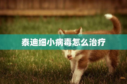 泰迪細小病毒怎么治療