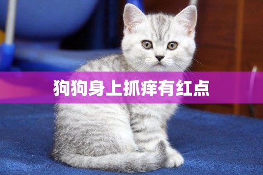 狗狗身上抓癢有紅點