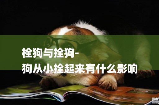 栓狗與拴狗-
狗從小拴起來有什么影響
