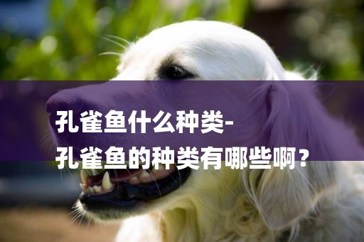 孔雀魚什么種類-
孔雀魚的種類有哪些啊？