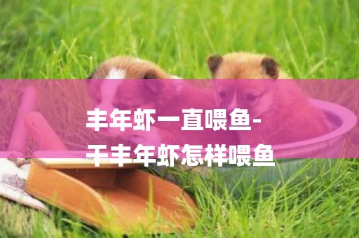 豐年蝦一直喂魚-
干豐年蝦怎樣喂魚