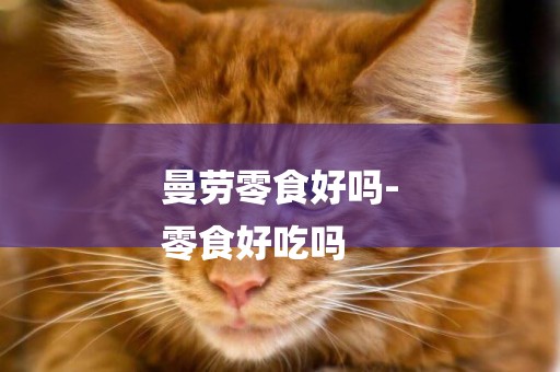 曼勞零食好嗎-
零食好吃嗎
