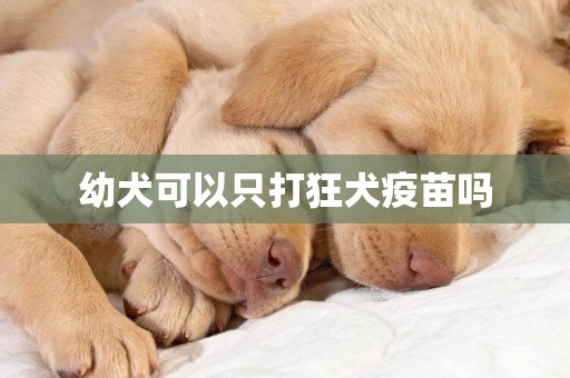 幼犬可以只打狂犬疫苗嗎