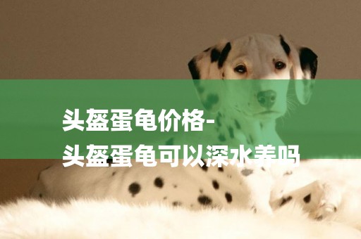 頭盔蛋龜價格-
頭盔蛋龜可以深水養嗎