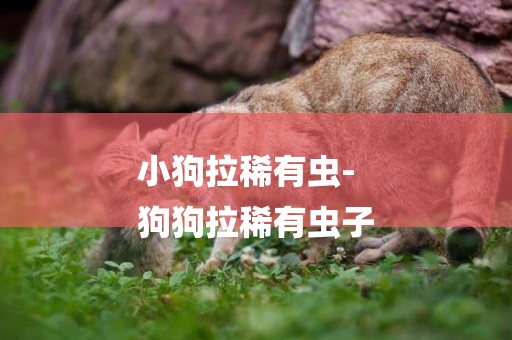 小狗拉稀有蟲-
狗狗拉稀有蟲子