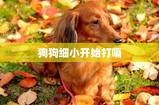 狗狗細小開始打嗝