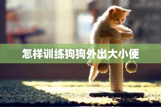 怎樣訓練狗狗外出大小便