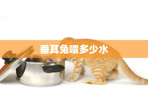 垂耳兔喂多少水