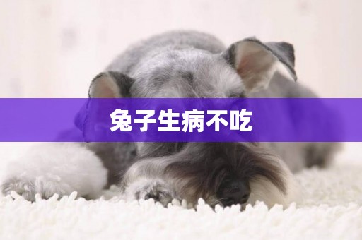 兔子生病不吃