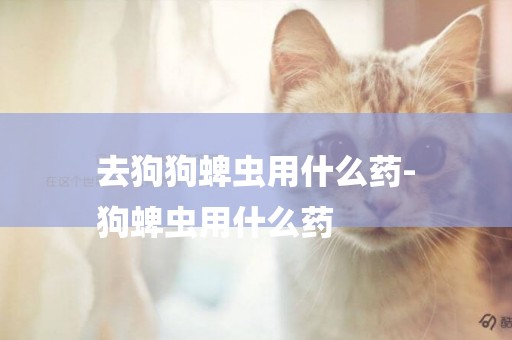 去狗狗蜱蟲用什么藥-
狗蜱蟲用什么藥