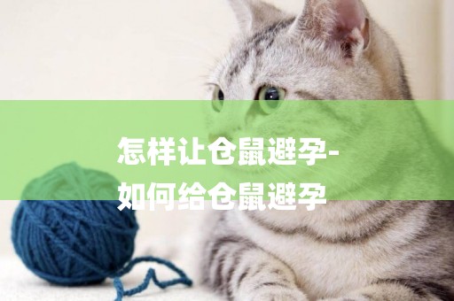 怎樣讓倉鼠避孕-
如何給倉鼠避孕