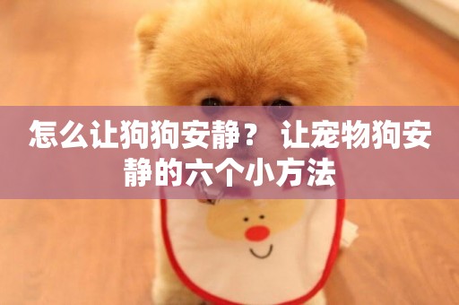 怎么讓狗狗安靜？ 讓寵物狗安靜的六個小方法