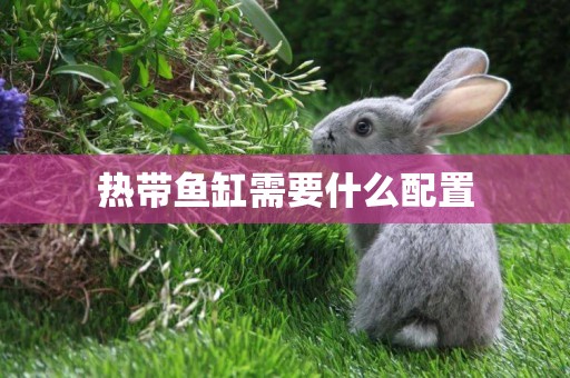熱帶魚缸需要什么配置